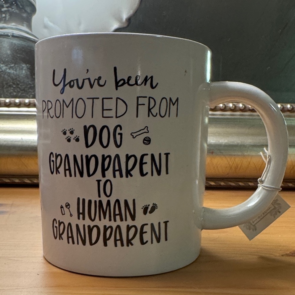 NEW White "Promoted from Dog Grandparent to Human Grandparent" Mug